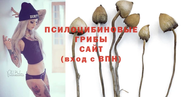 spice Арсеньев