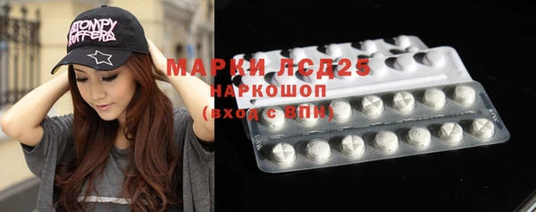 spice Арсеньев