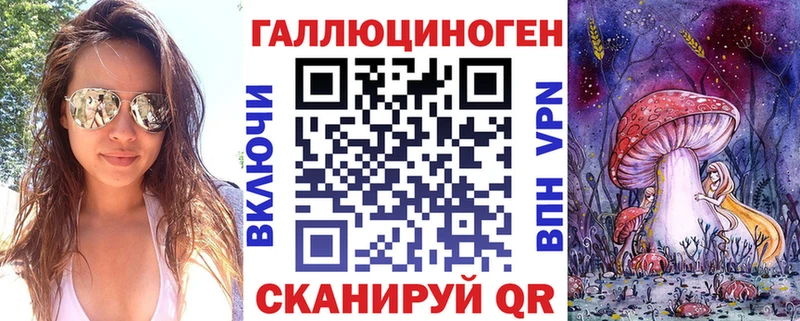 Купить Новоалтайск Галлюциногенные грибы Psilocybine cubensis